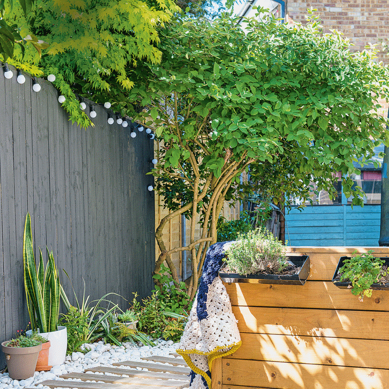 Experts warn that these garden features are behind some of the most ...