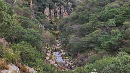 Los Panales Los Manantiales Secretos De Guanajuato Ideales Para Una Escapada Aventurera 2