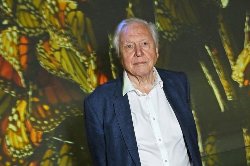 David Attenborough shares harrowing neardeath experience in new