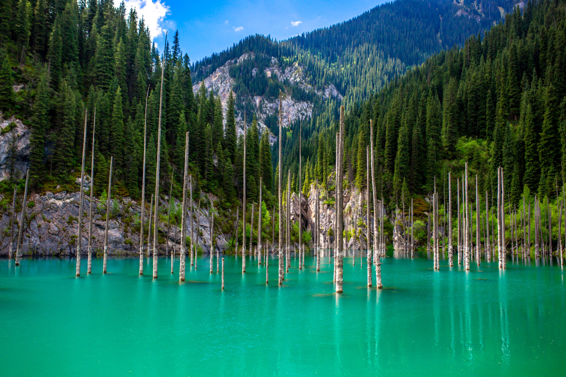 Lake Kaindy: The sunken forest born from an earthquake