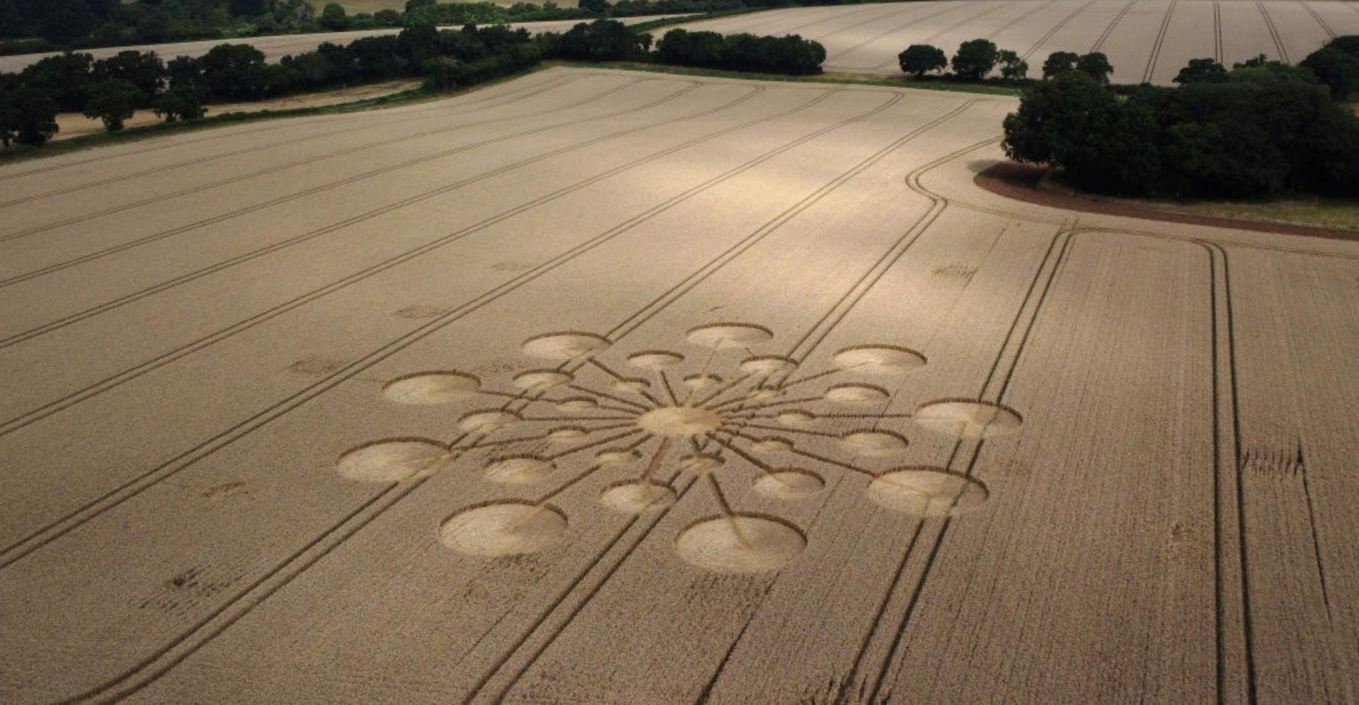 Graancirkels verklaard: wetenschap en speculatie