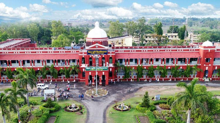 India's First Seed Gene Bank: बिहार में देश का पहला बीज जीन बैंक, 28 सालों तक सेफ रहेंगे सीड, 10 हजार से अधिक बीजों को रखने का टारगेट