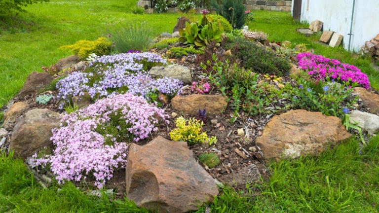 17 Indestructible Plants for Your Rock Garden