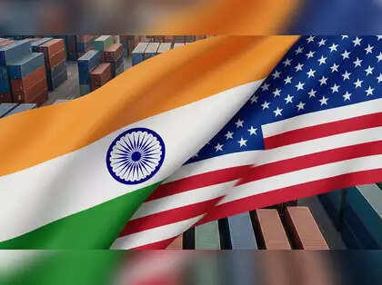 India-US trade pact: Officials discuss market access, digital trade, customs facilitation