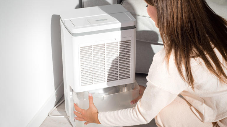 When You Stop Cleaning Your Humidifier, This Is What Happens To Your Body