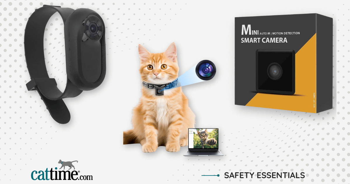 12 Best Cat Camera Collars - See the World Through Their Eyes