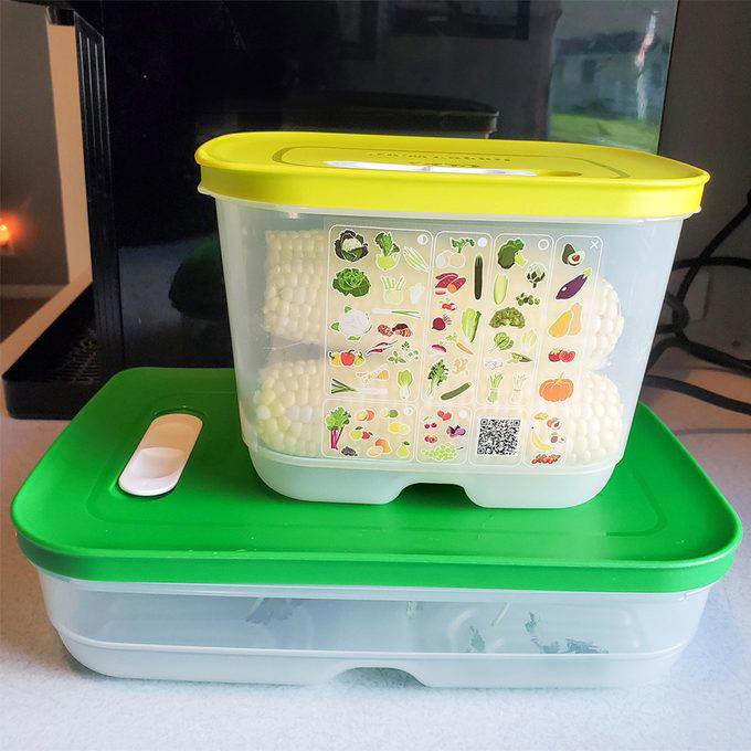 Keep Produce Fresh: Top Fridge Containers for Vegetable & Fruit Storage ...