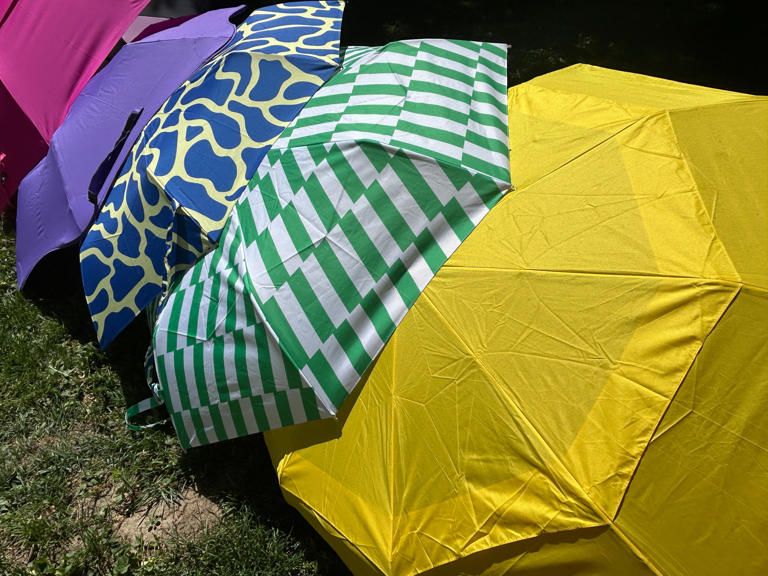 The 5 best umbrellas of 2025, tested in heavy rain and wind