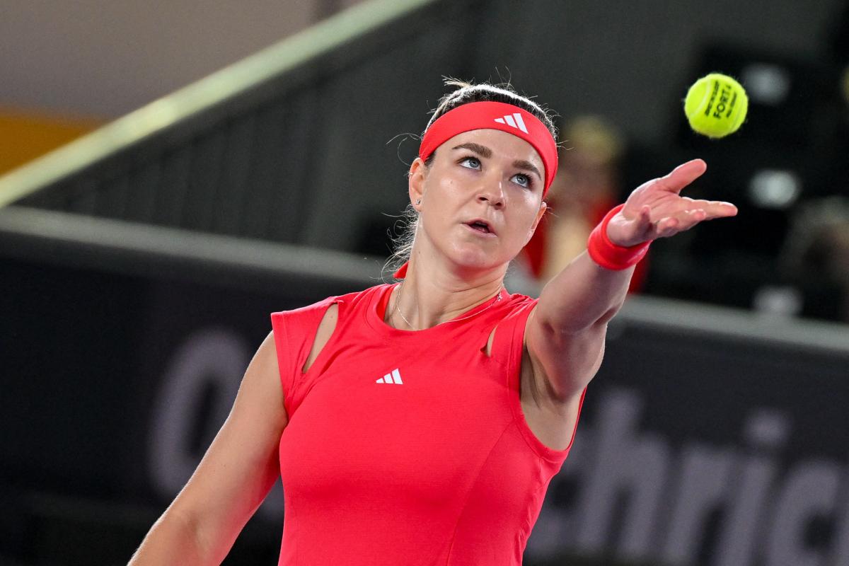 T-shirt Humour "Si Je Disais Que Je Le Réparerai, Je N'aurai Pas Besoin De Me Rappeler" - Homme, Coupe Regular, Plusieurs Couleurs