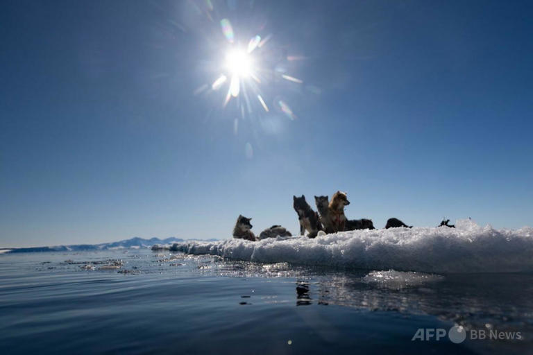 グリーンランドの氷、5月の高温天候受け17倍速で融解 研究者グループ