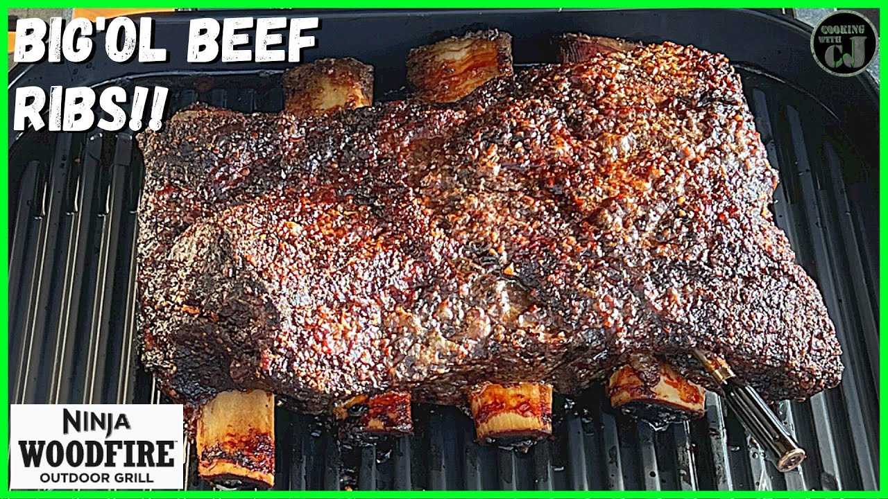 NINJA WOODFIRE GRILL BEEF RIBS! Brisket on a Stick!
