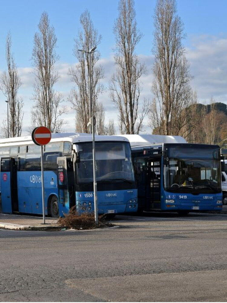 Scontro tra Cotral e Mini a Grottaferrata: morto un 19enne