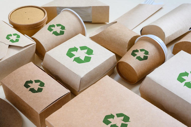Paper or plastic? Weighing the packaging trade-offs