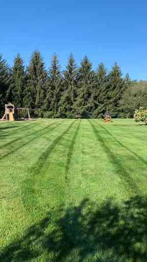 Common Lawn Care Mistakes (and How to Fix Them)