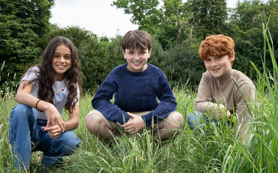 HBO Max desvela quiénes interpretarán a todos los hermanos Weasley en ...