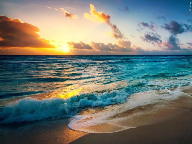 Several beaches shut down due to elevated bacteria levels