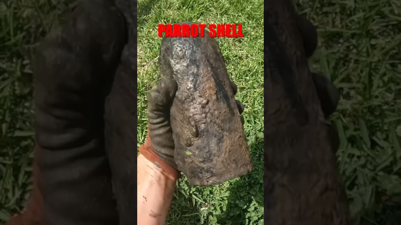 Old Civil War Explosive Found Magnet Fishing!