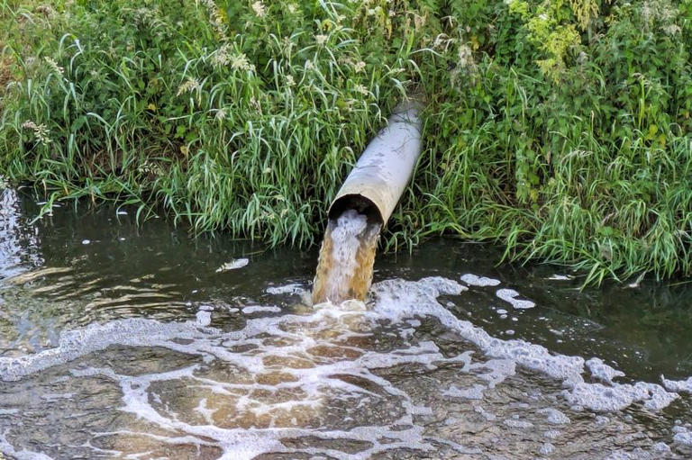 Kent water firm hails AI ‘smart sewers’ but campaigners label them ...