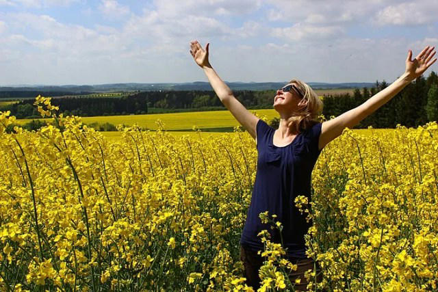 How Gratitude Changes Your Life: Everyday Practices for a Thankful Heart