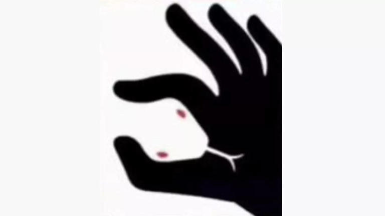 Optical illusion personality test: Snake or hand? What you see first ...