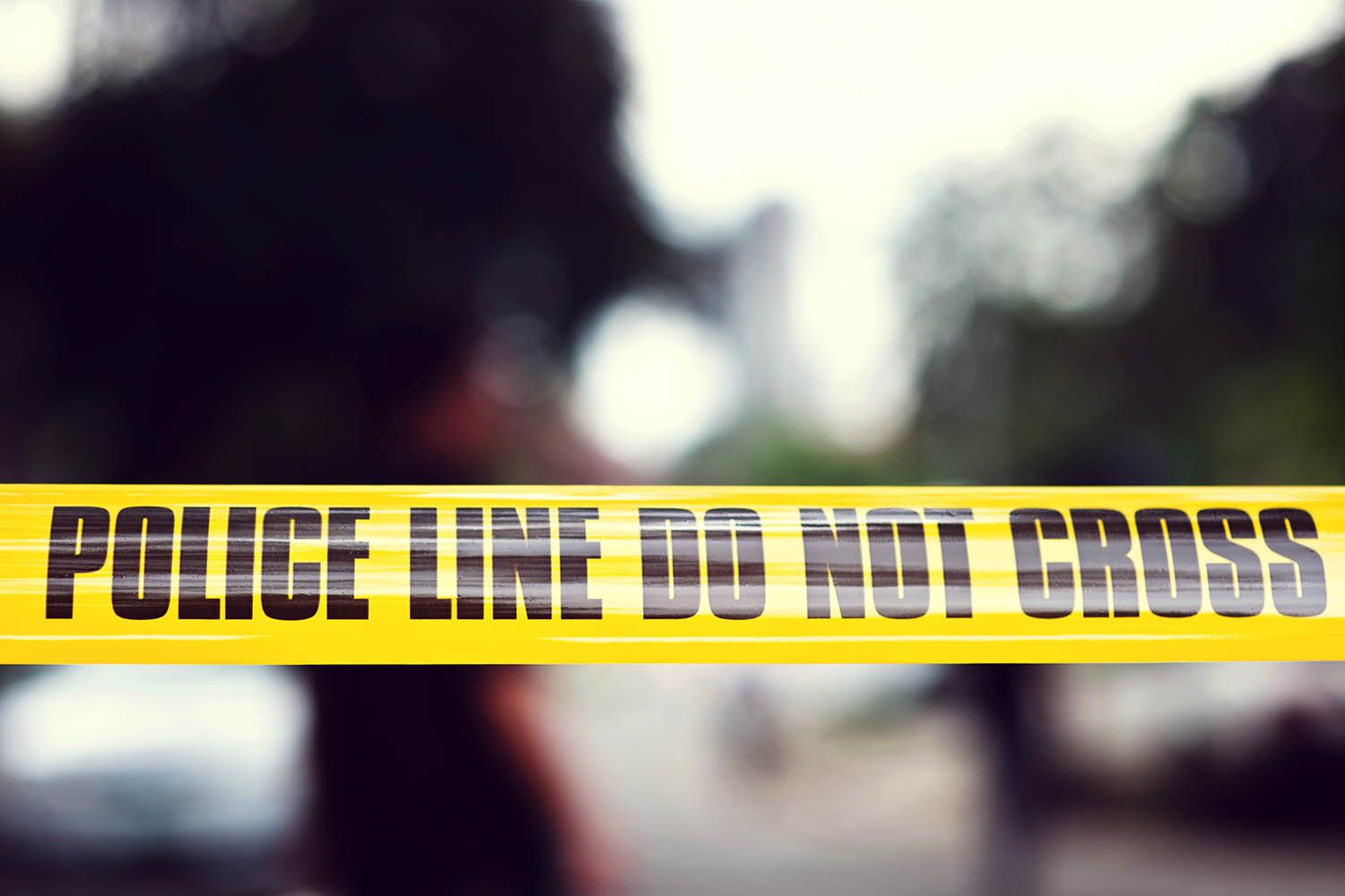 Woman Reported a Dead Dog in a Tote with a Chemical Smell. Police Then