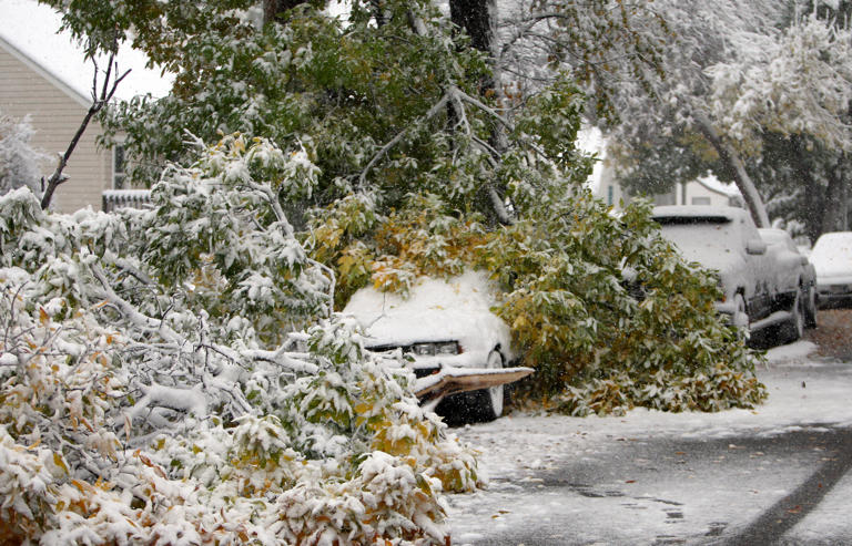 A parked car is covered by a fallen tree branch as a winter storm hits the area Saturday, Oct. 11, 2008, in Billings, Mont,.