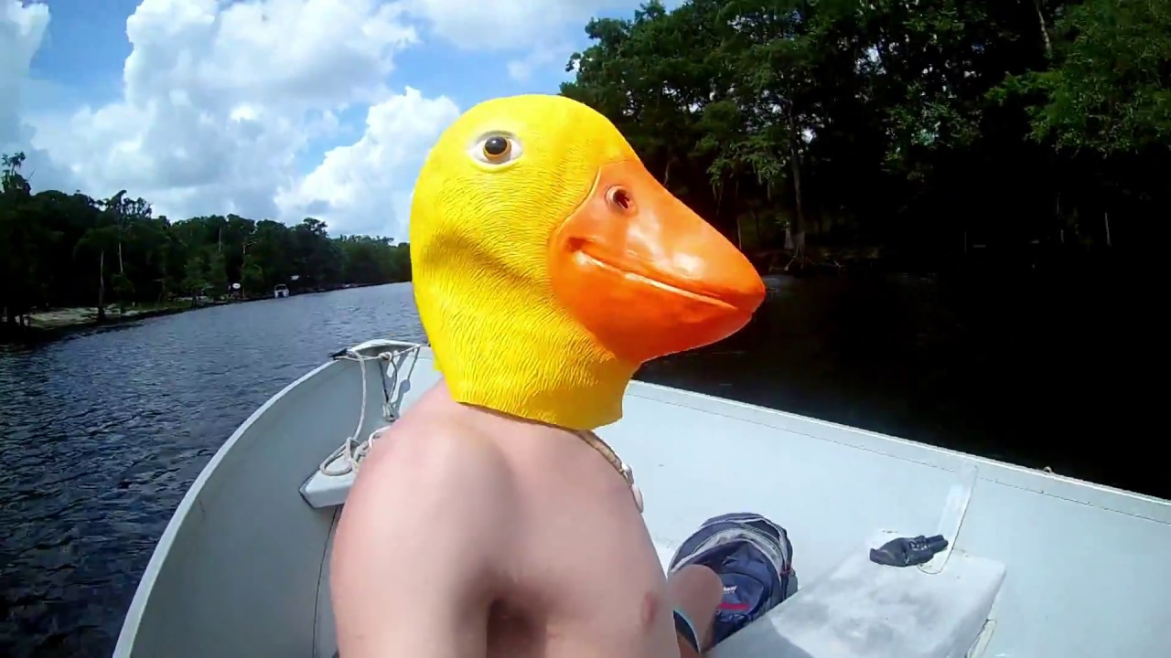People did not expect this duck prank