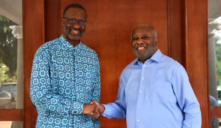 Côte d'Ivoire : le Front PDCI - PPA CI annonce sa première action