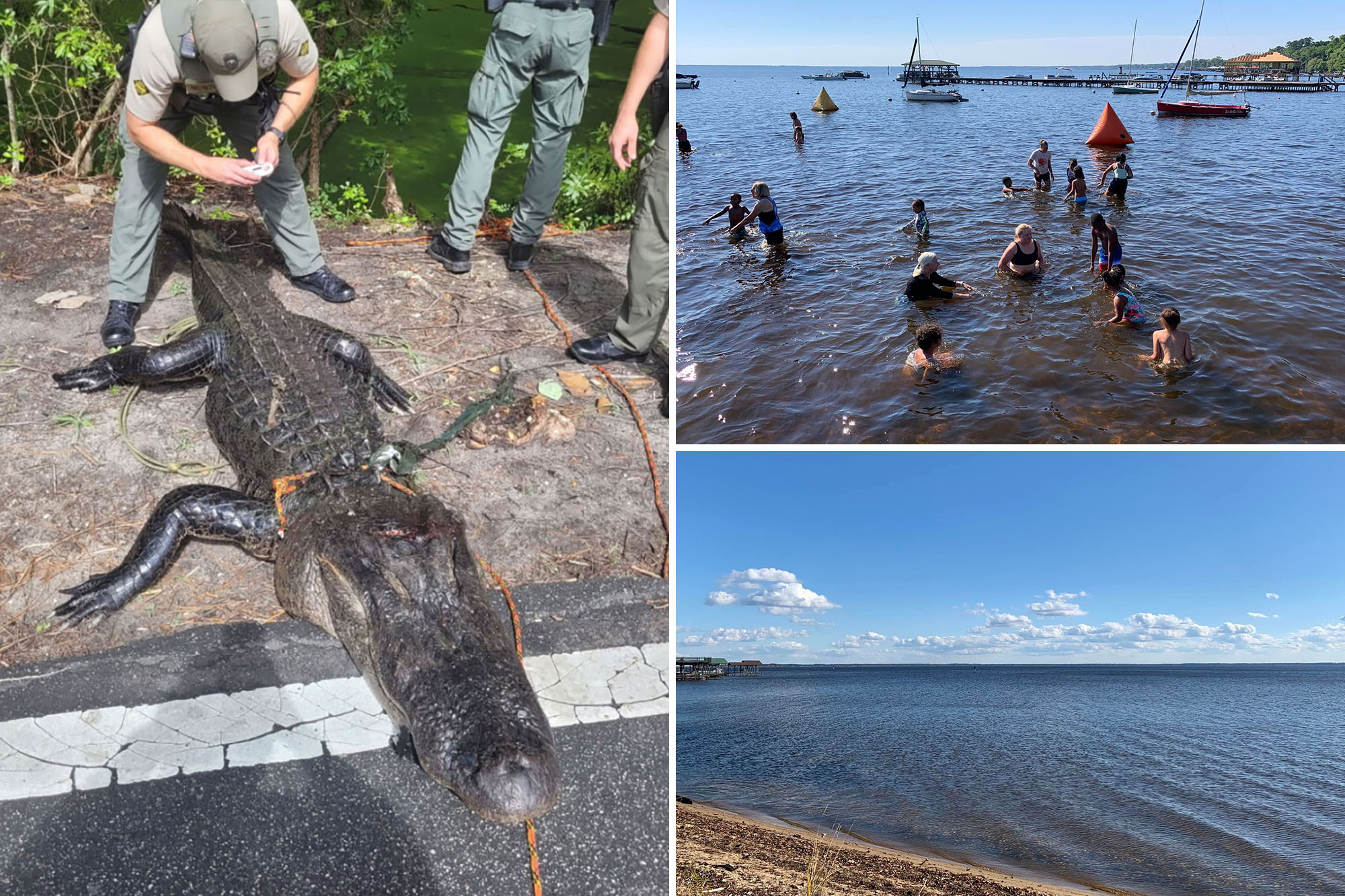 Girl, 12, attacked by alligator while playing in shallow water ...