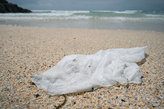 A plastic shopping bag sits discarded on a beach