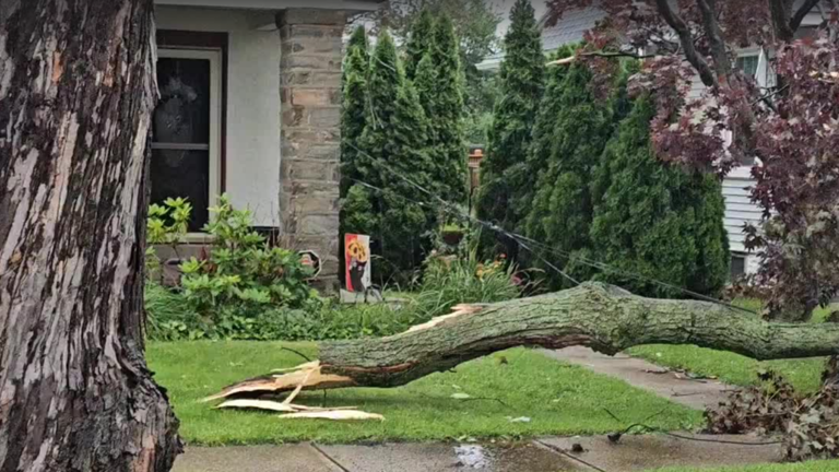 【THEAIRTOWN】tee branch damage pt Township Signs Targeted In Middletown Vandalism Wave
