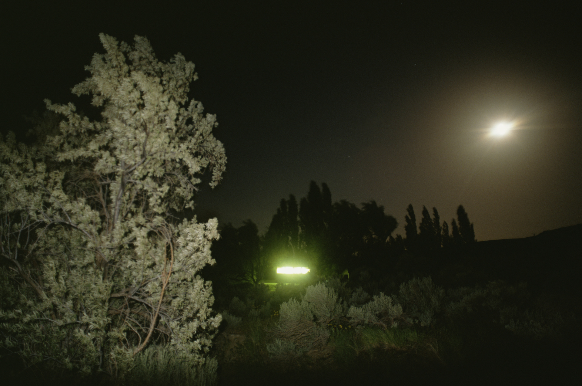 De conclusies van de therapeut