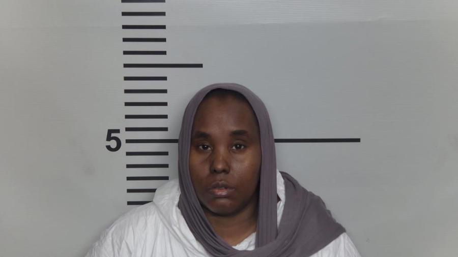 Louisville mom who allegedly attacked 6yearold with hammer indicted(00)