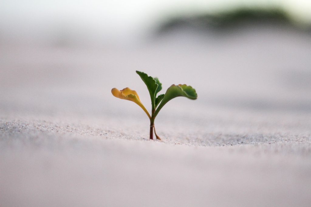 2. Spiritual Growth