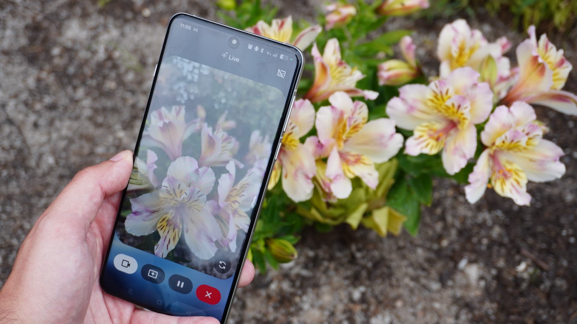 Using Google Gemini in my garden