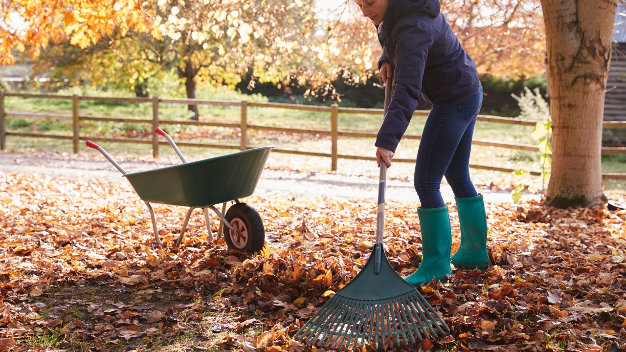 9 yard fixes that take forever and barely make a difference