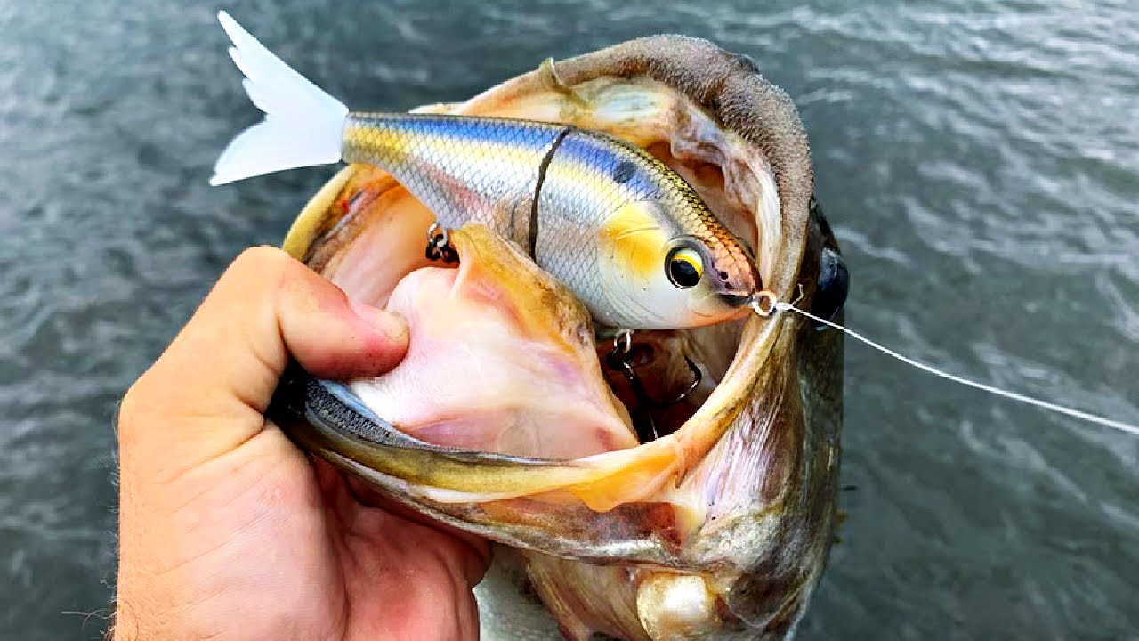 How This Swimbait Trick Changed My Approach