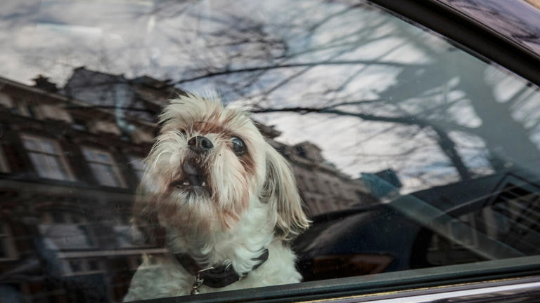 Hete dagen: hoe hou je het hoofd koel en wat doe je beter niet?
