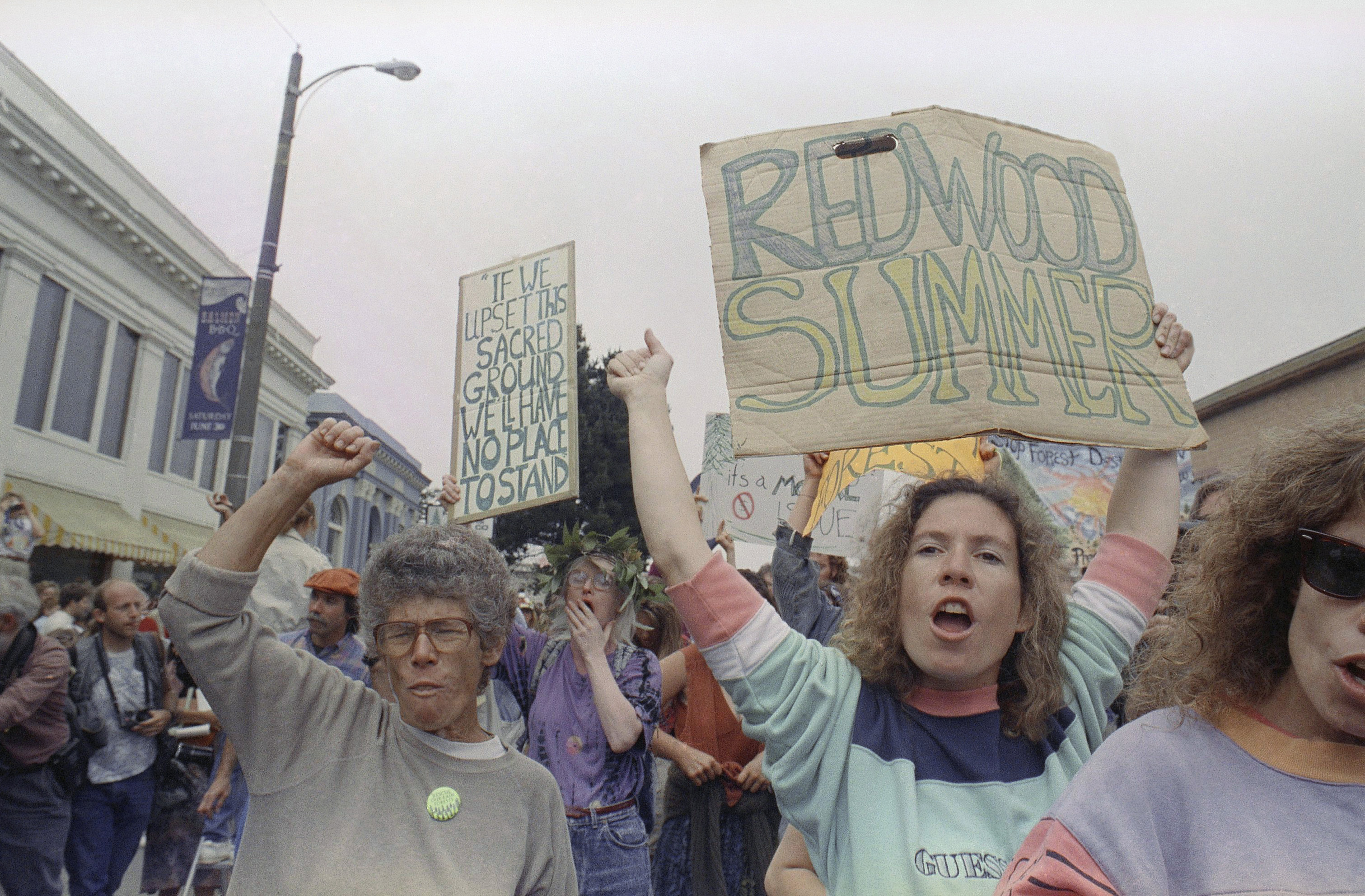 People protest forest cutting in Fort Bragg, North Carolina, in 1990.