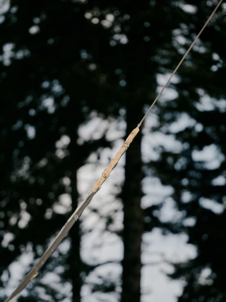 A wire connects the platform to a barricade on the road to the forest. If the barricade is disrupted, the platform could fall.