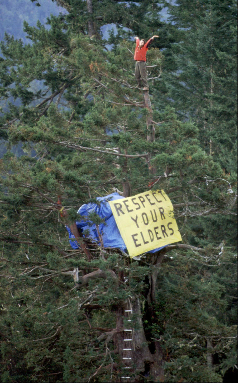 Tree-sitting protests have a long history in the West. Environmental activist Julia “Butterfly” Hill stands at the top of a 200-foot-tall ancient redwood tree near Stafford, California, in 1998.