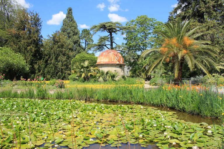 © Shutterstock / Picturereflex