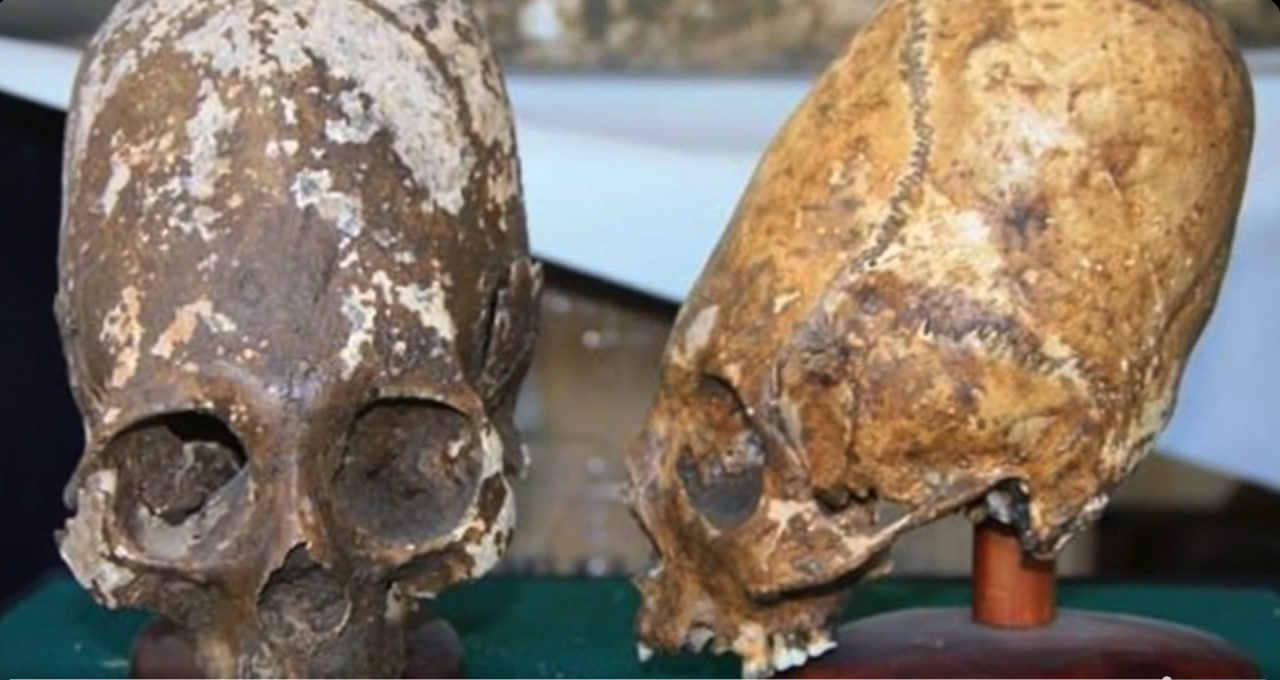 Finally: DNA Results of the Paracas Elongated Skulls of Peru, Part 1 | Watch