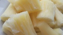 Karbohidrat, Kunci Energi dan Kesehatan Tubuh