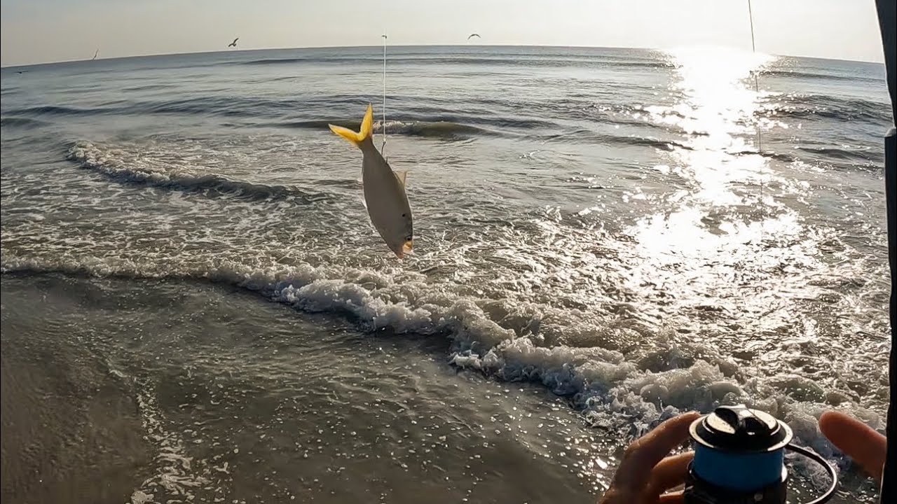 Surf fishing roulette - big baits, bigger surprises