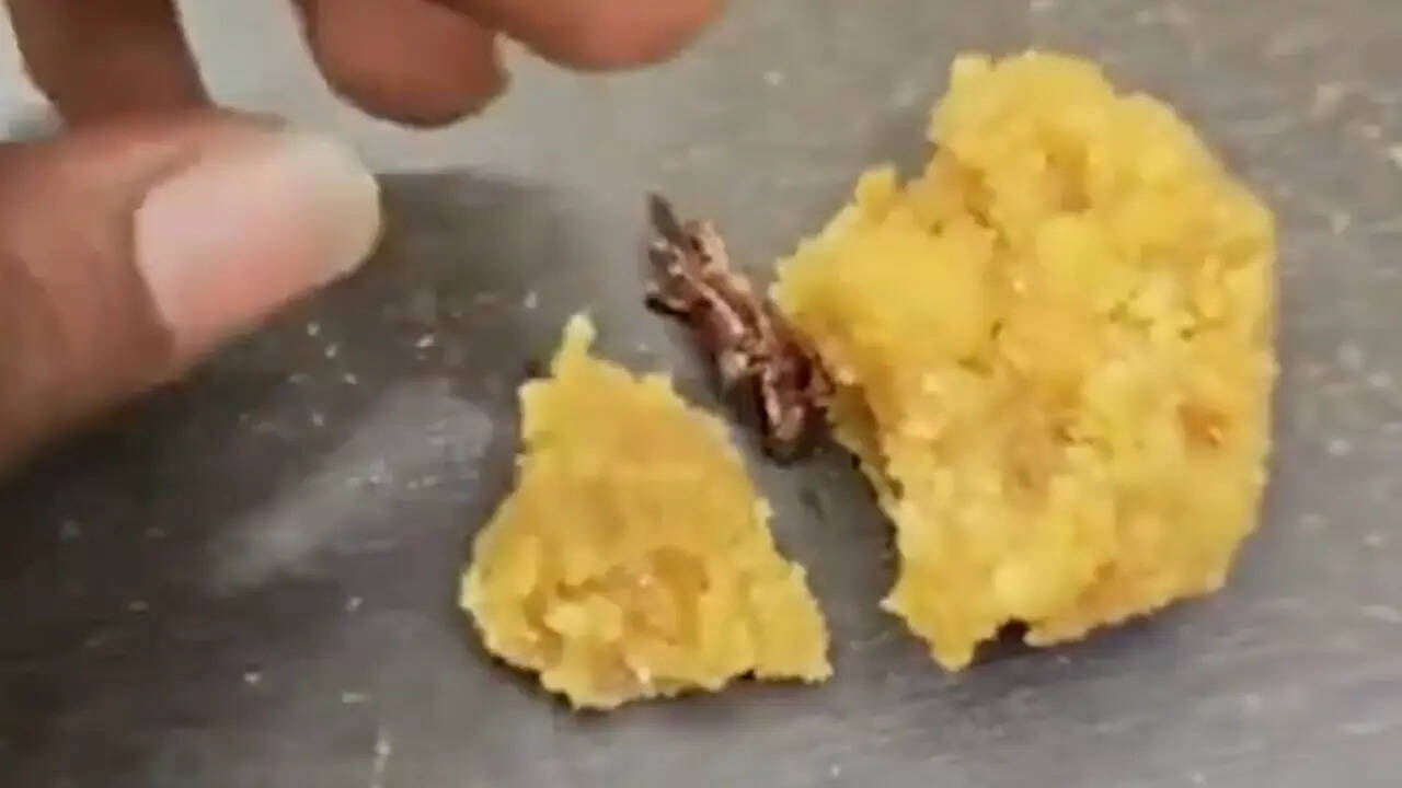Was There Cockroach in Srisailam Temple Prasadam? Truth Behind Viral Claim