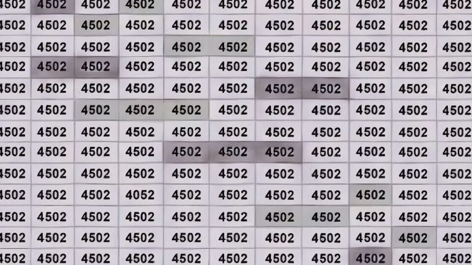 Can you spot 4052 hidden among 4502s? This optical illusion is a real ...
