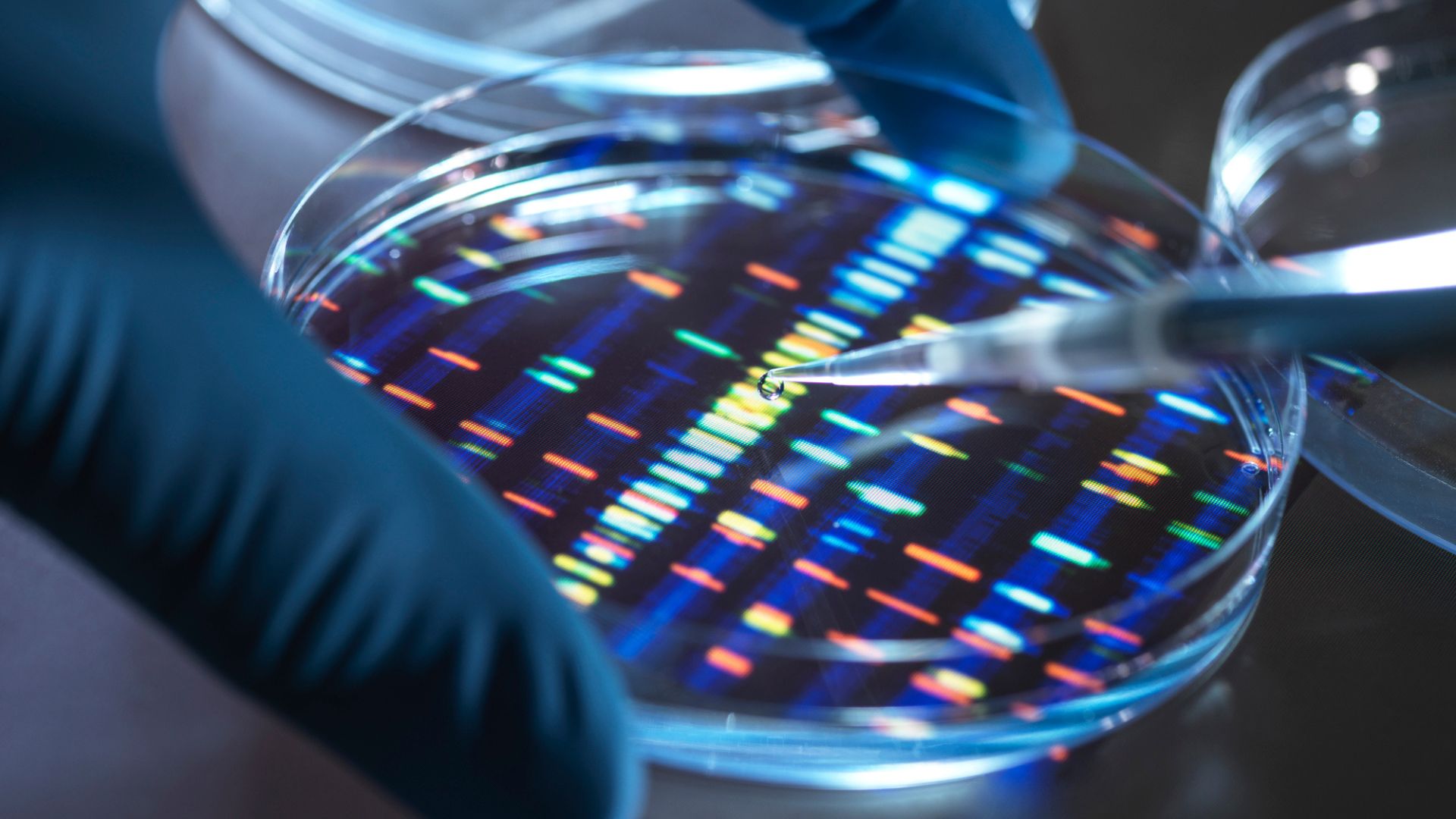 AI uncovers 360,000 DNA knots that quietly shape how genes turn on and off