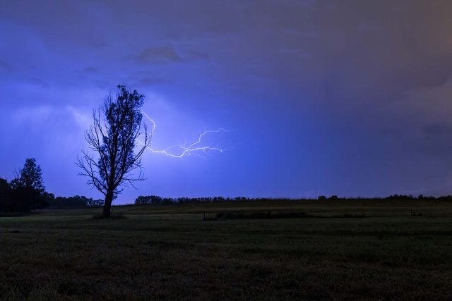 03_tree_weird_lightening_Sander-Meertins