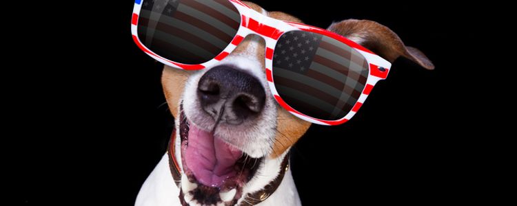 How To Stay Safe While Celebrating The 4th Of July